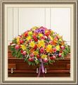 Flower Box The, , Livermore, Cynthiana, KY 40370, (270)_278-2598